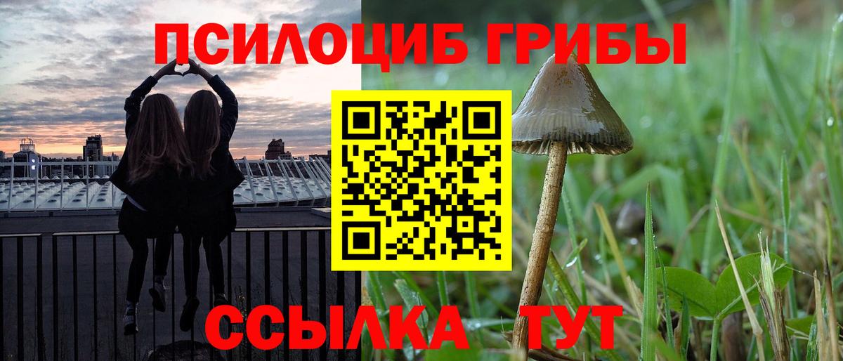 Галлюциногенные грибы Psilocybine cubensis Белгород