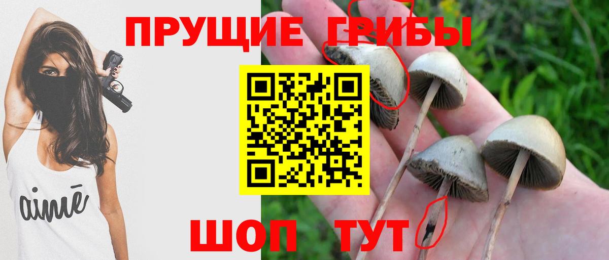 Галлюциногенные грибы прущие грибы  Вход с VPN  Белгород 
